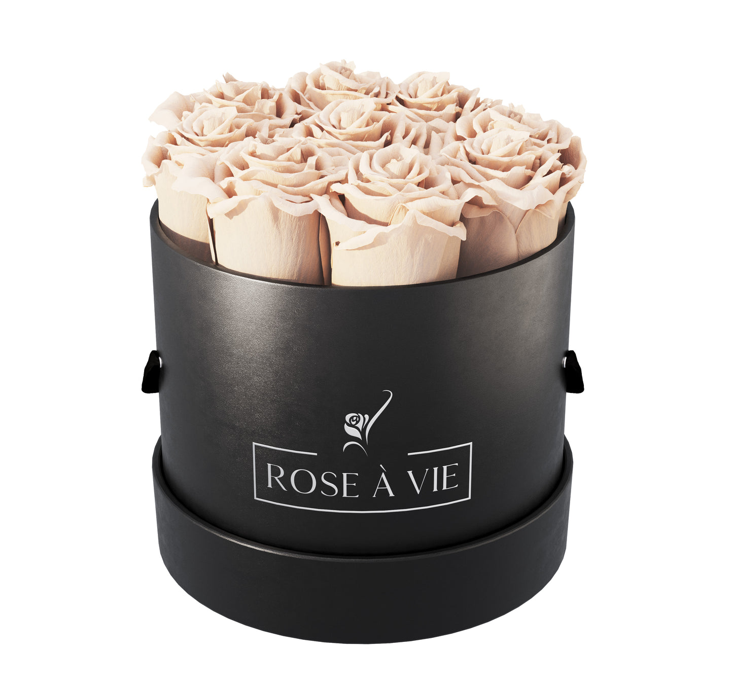 Medium Round Box