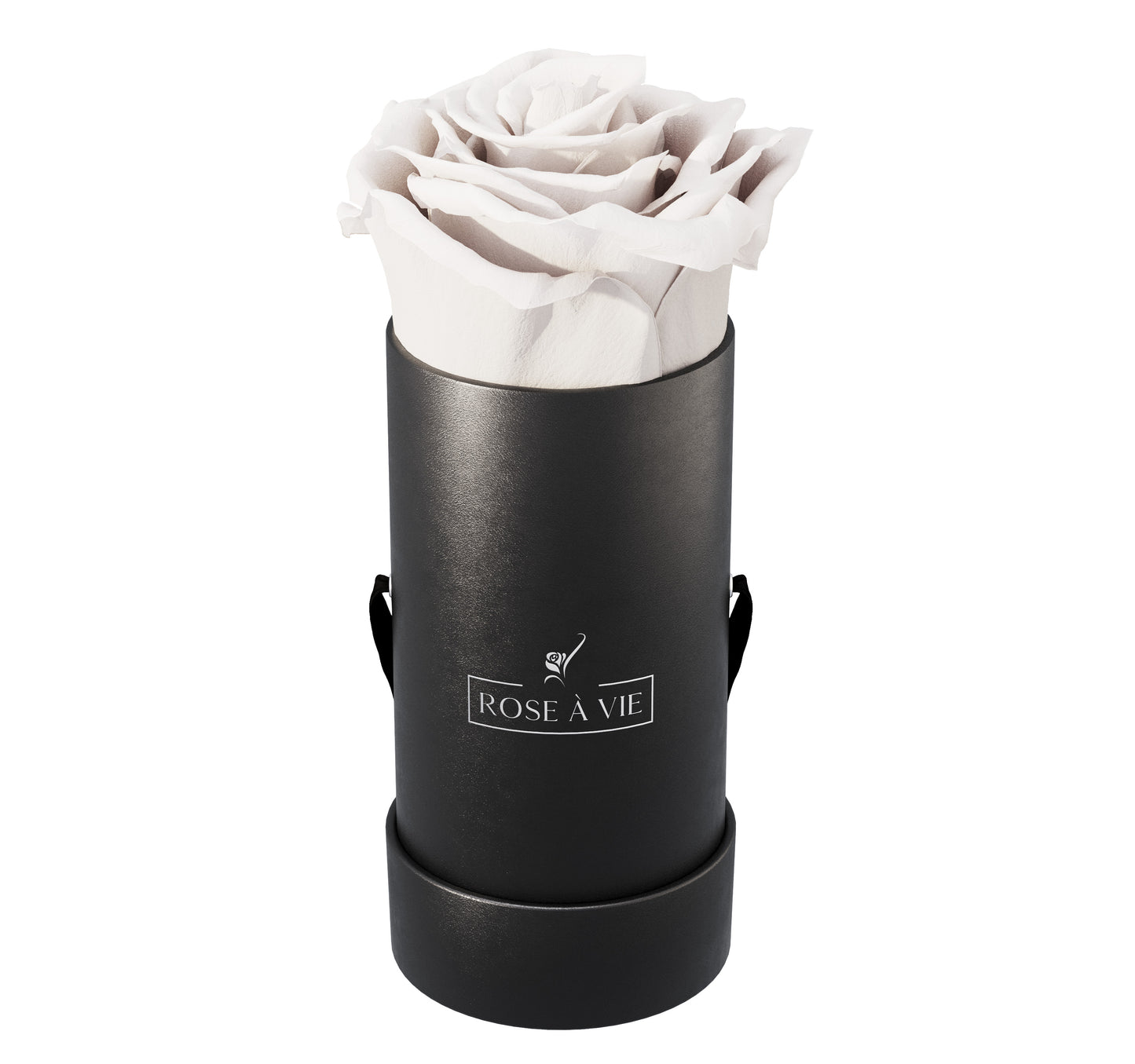 Single Round Box