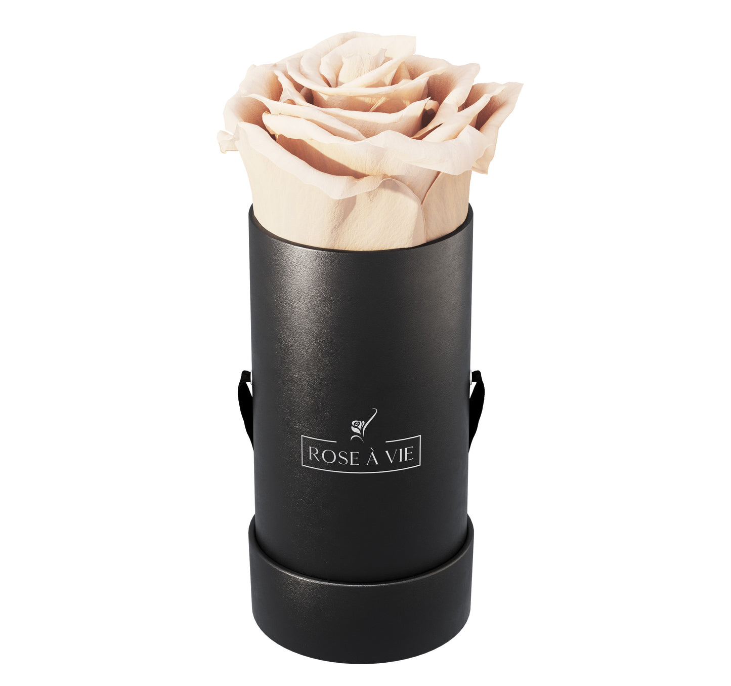 Single Round Box