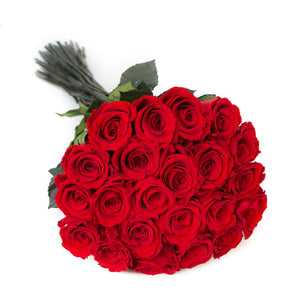 Eternal Long-Stem Rose Collection